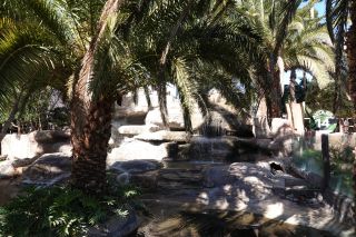 GC-Crocodilo Park 2020-034.JPG